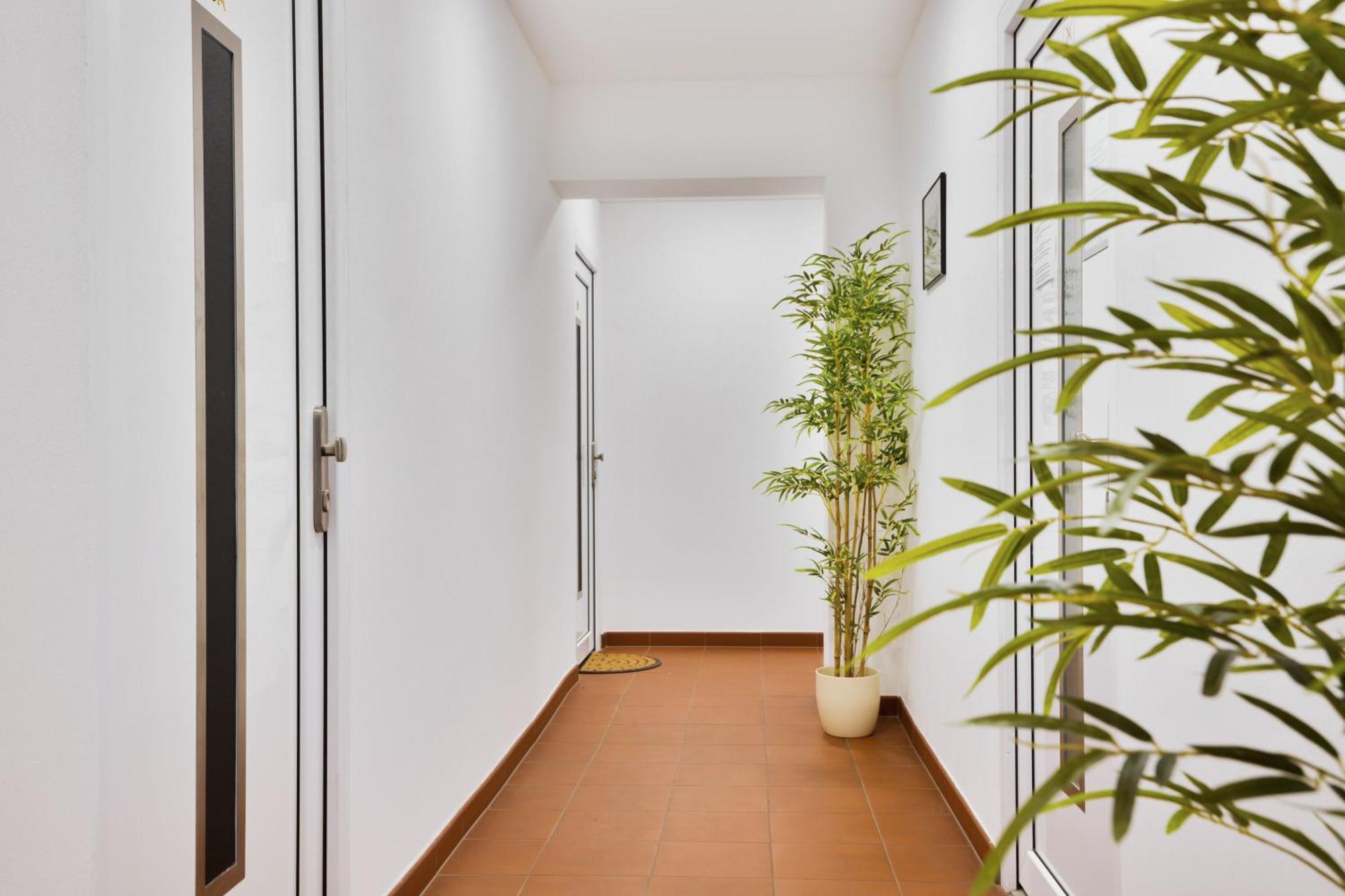 Apartmany דצ'ין מראה חיצוני תמונה
